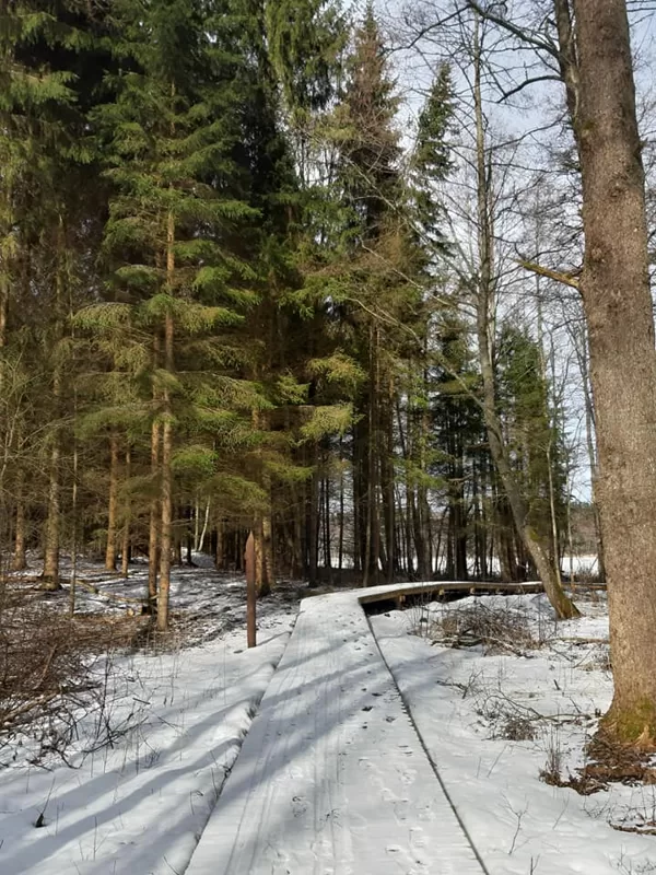 Jaundomes dabas taka. Bildes autore Aija Šēfere